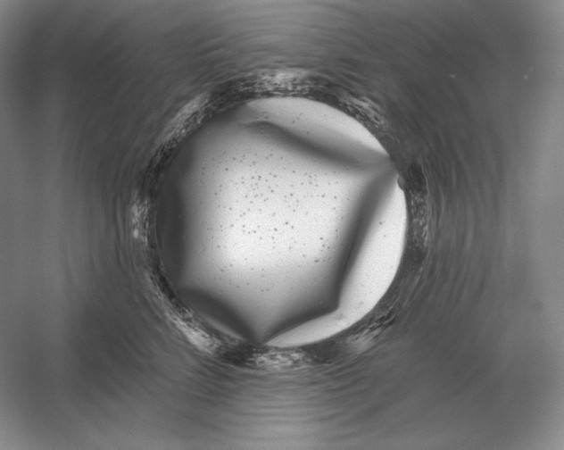 X0000052980712200508051041