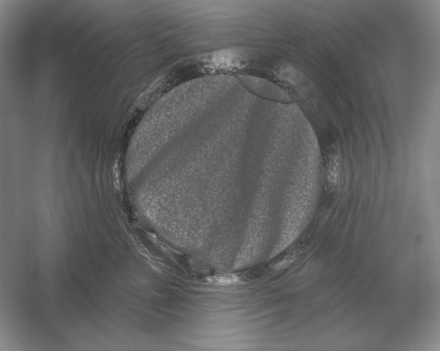 X0000052980715200508051041