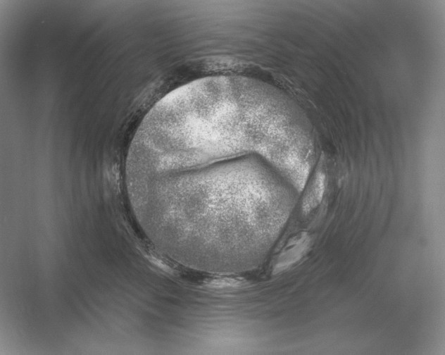 X0000052980716200508051041