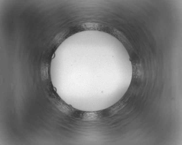 X0000052980717200508051041