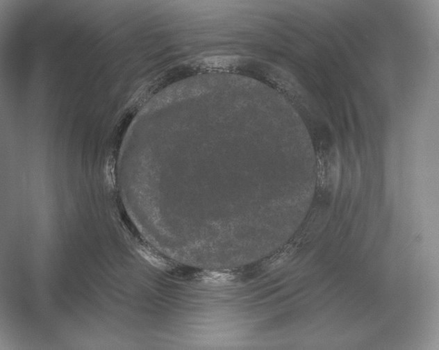 X0000052980718200508051041