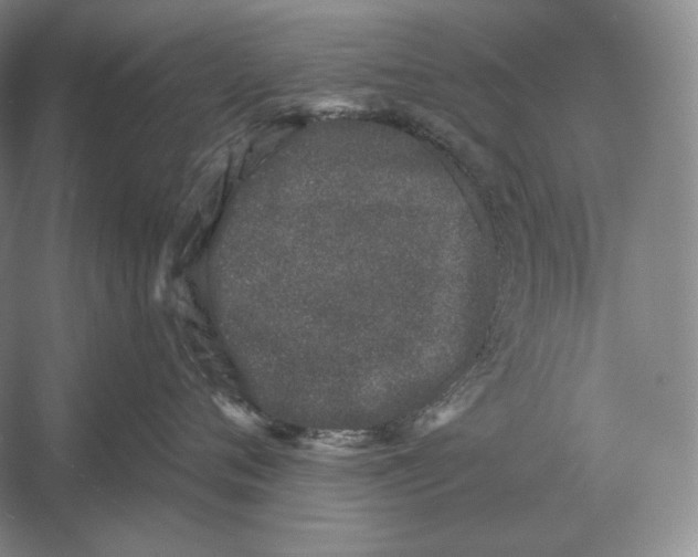 X0000052980720200508051041