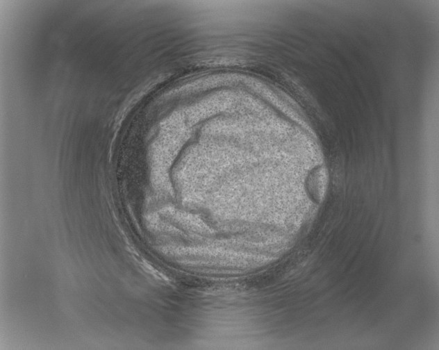 X0000052980721200508051040