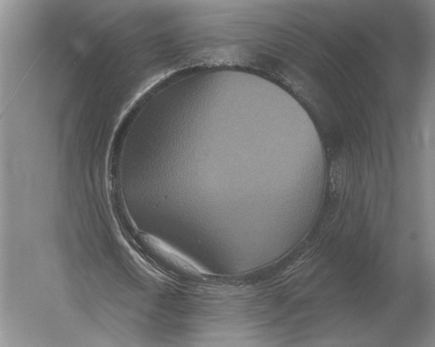 X0000052980722200508051040