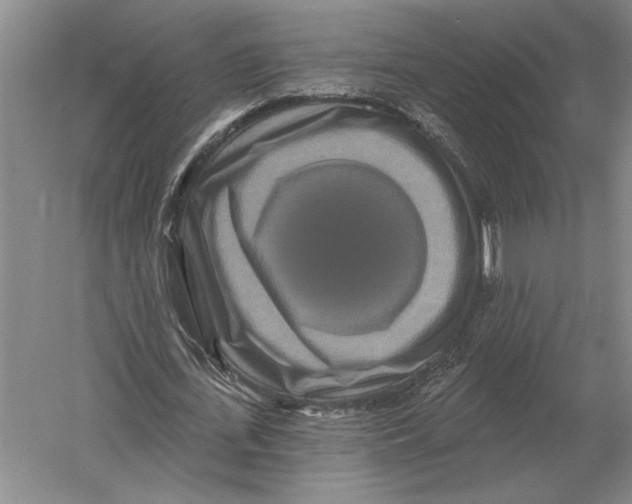 X0000052980723200508051040