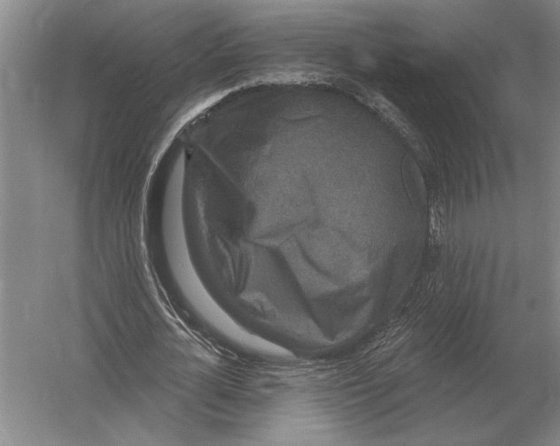 X0000052980724200508051040