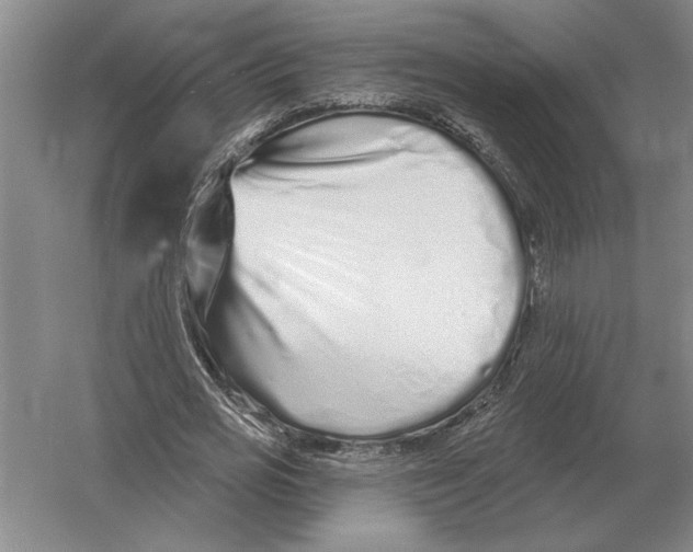 X0000052980725200508051040