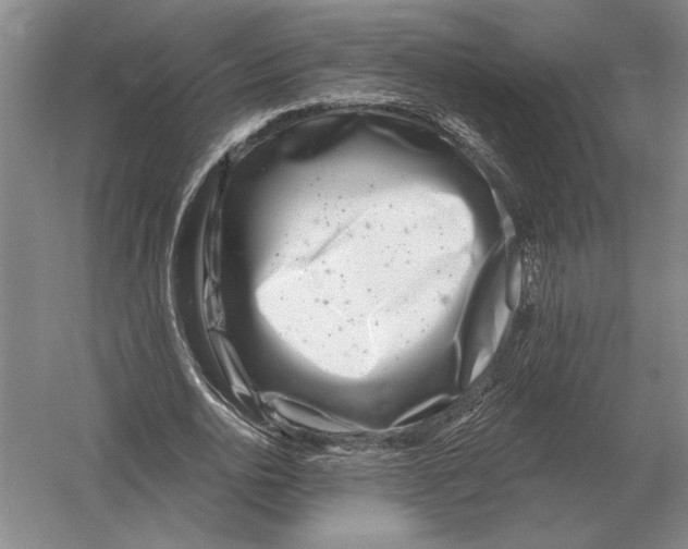 X0000052980726200508051040