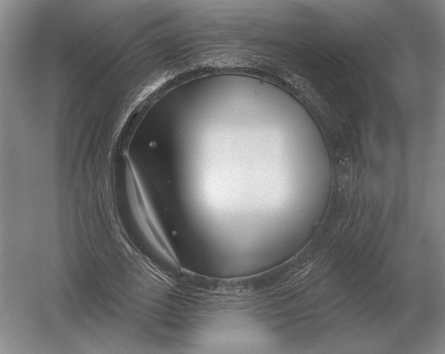 X0000052980727200508051040