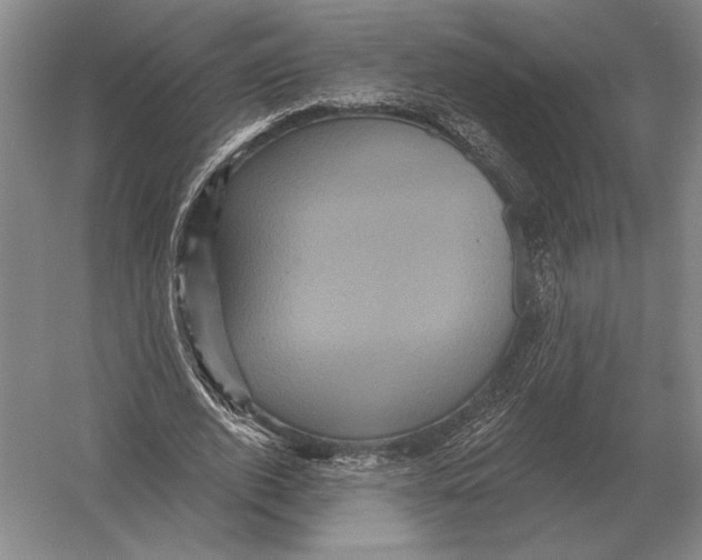 X0000052980728200508051040