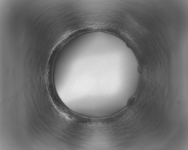 X0000052980730200508051040