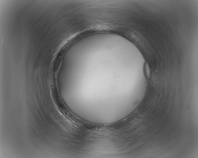 X0000052980732200508051040