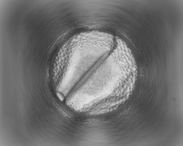 X0000052980733200508051040