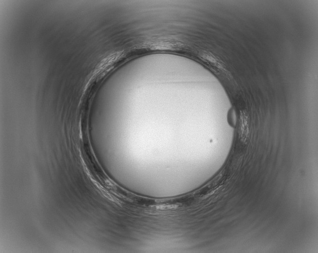 X0000052980734200508051040