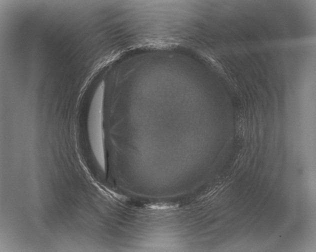 X0000052980736200508051040