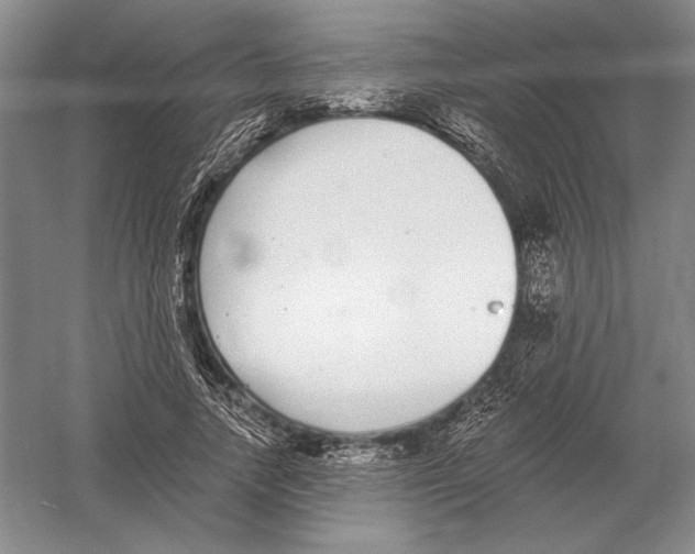 X0000052980738200508051040