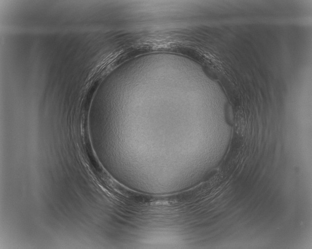 X0000052980740200508051040