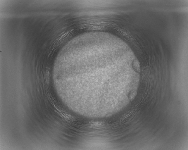 X0000052980741200508051040