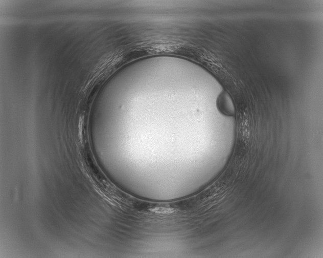 X0000052980742200508051040