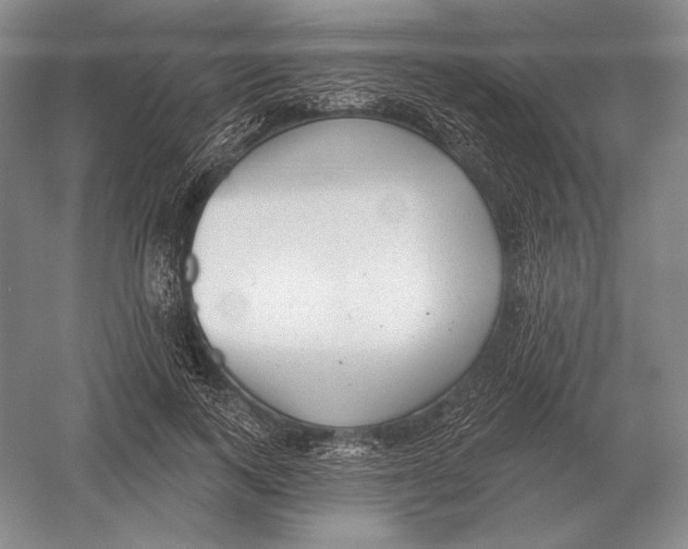 X0000052980743200508051040