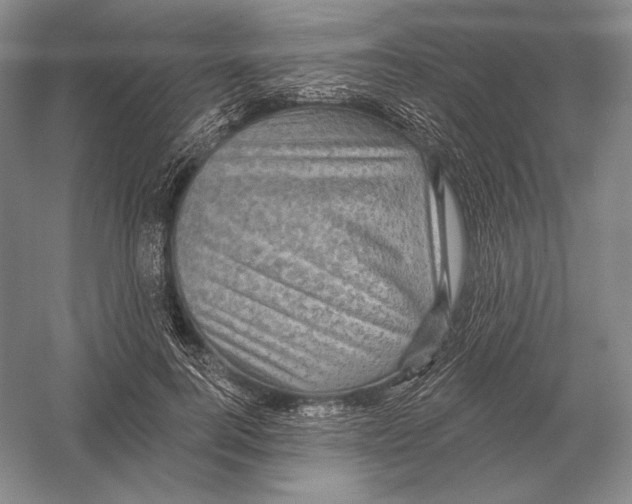 X0000052980744200508051040