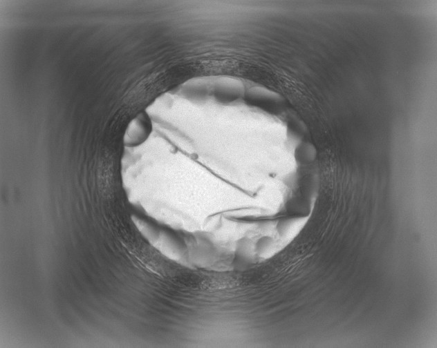 X0000052980745200508051040