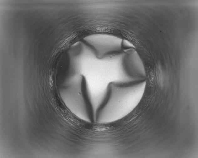 X0000052980746200508051040