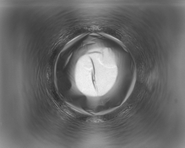 X0000052980747200508051040