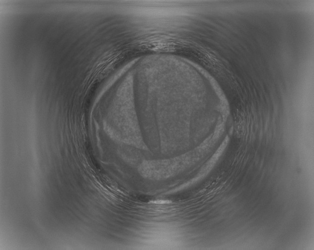 X0000052980748200508051040