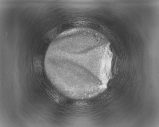 X0000052980749200508051040