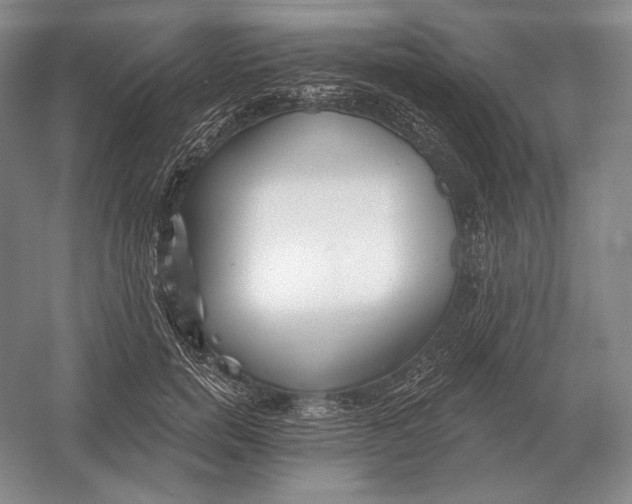 X0000052980750200508051040