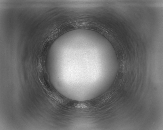 X0000052980751200508051040