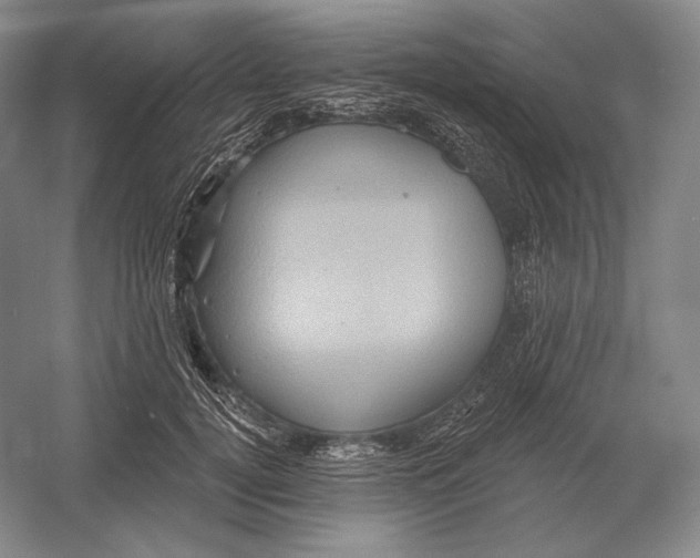 X0000052980752200508051040