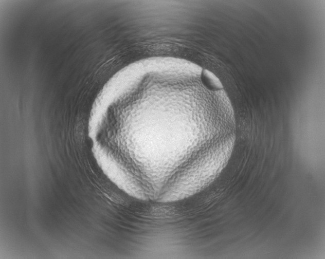 X0000052980753200508051040