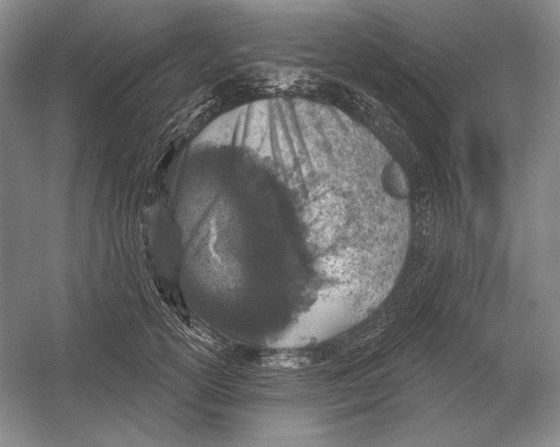 X0000052980754200508051040