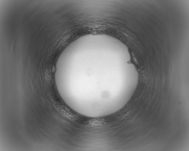 X0000052980756200508051040