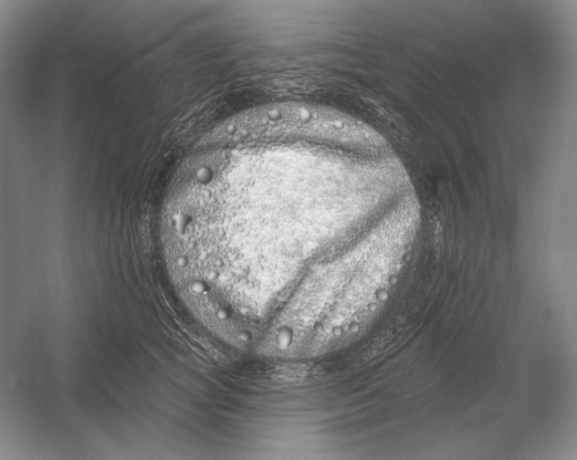 X0000052980757200508051040