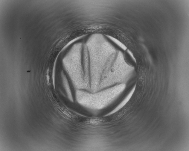 X0000052980758200508051041