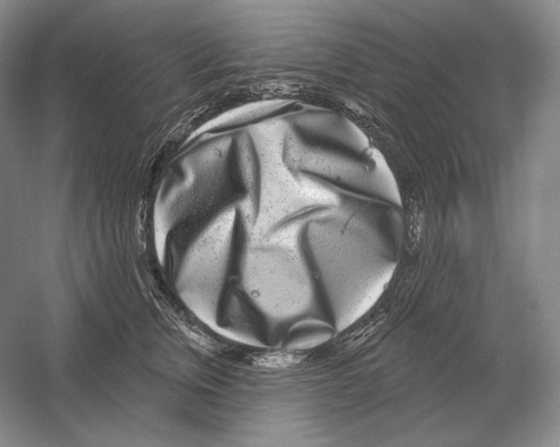 X0000052980759200508051041