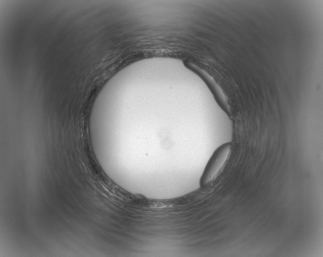 X0000052980760200508051041