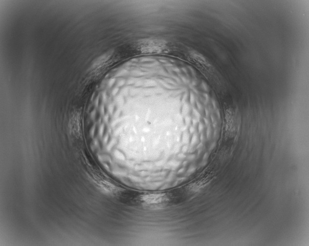 X0000052980761200508051041