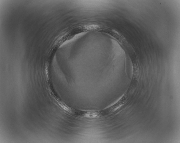 X0000052980762200508051041