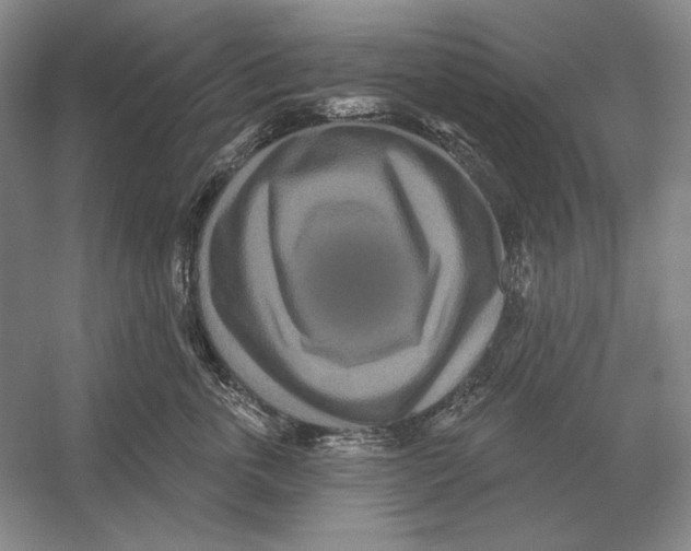 X0000052980763200508051041