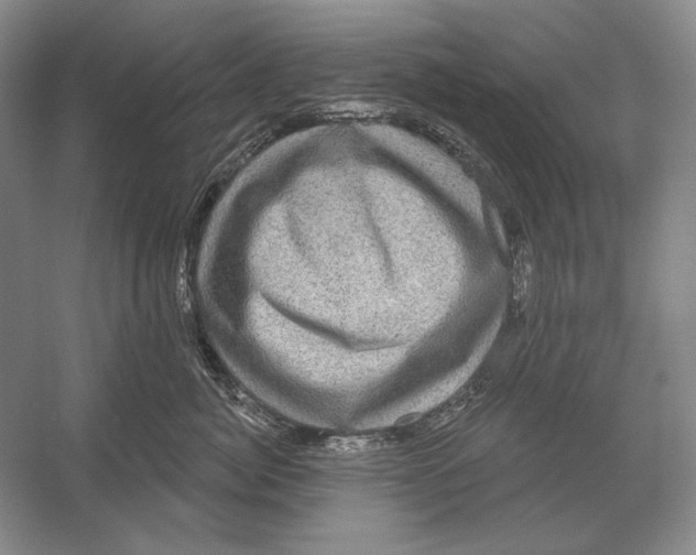 X0000052980764200508051041