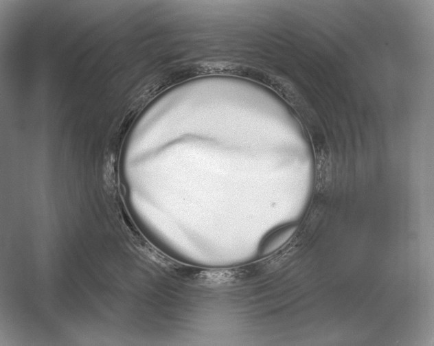 X0000052980765200508051041