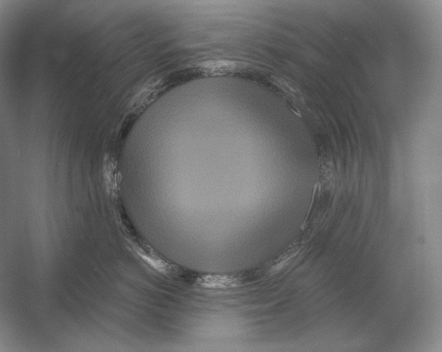 X0000052980766200508051041