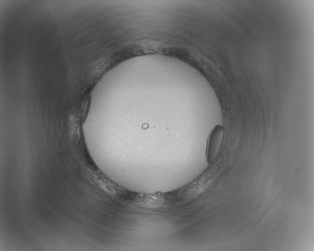 X0000052980768200508051041