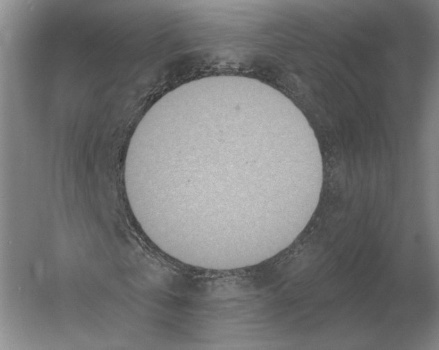 X0000052980769200508051040