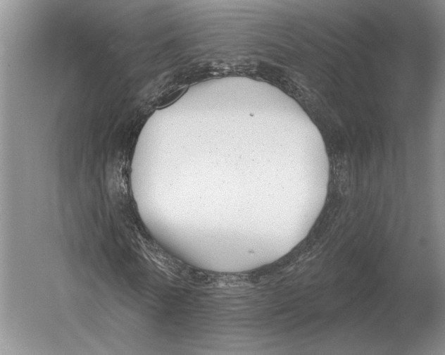 X0000052980770200508051040