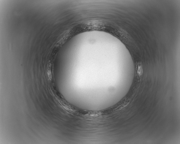 X0000052980771200508051040